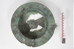 Foto von Bronzebreitrandschale (NHMW-PRAE-024520)